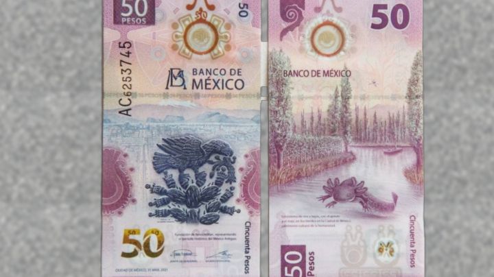 Ofrecen hasta 350 mil pesos por estos tres billetes de 50 | FOTO