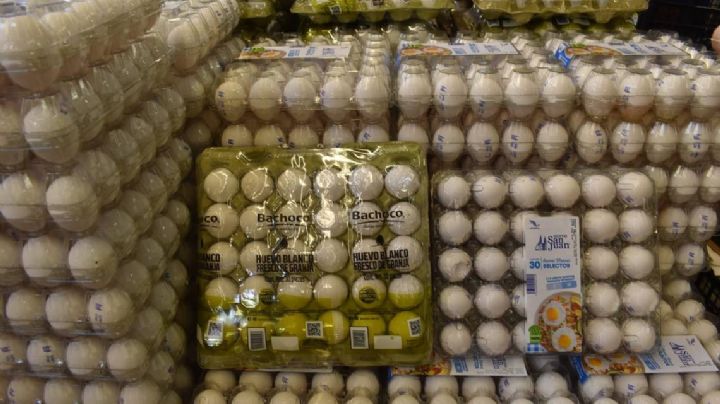 Prevén aumento en precio del huevo en Tamaulipas; ¿cuánto costará?