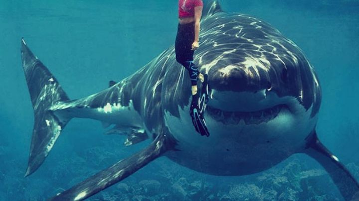 Joven muere atacada por un tiburón mientras nadaba en el rio; practicaba esquí