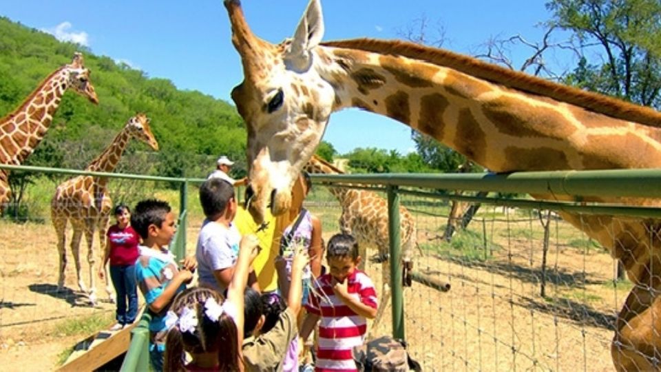 Bioparque es un buen lugar para la diversión de los niños