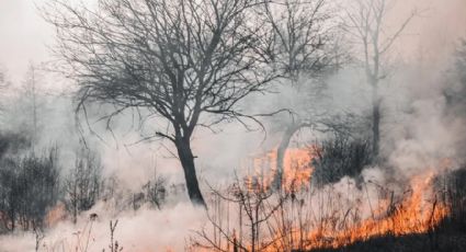 Incendios forestales: condado de Webb aplicará medidas para prevenirlos