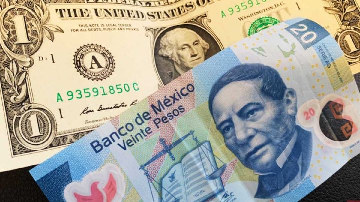 Dólar amanece bravo frente al peso mexicano: tipo de cambio HOY 5 de septiembre del 2024
