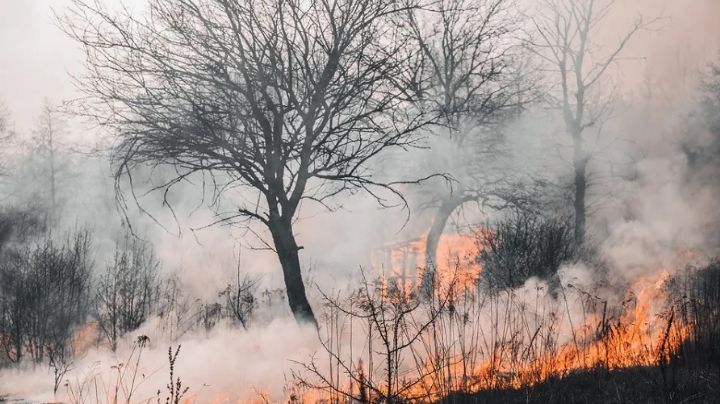 Incendios forestales: condado de Webb aplicará medidas para prevenirlos