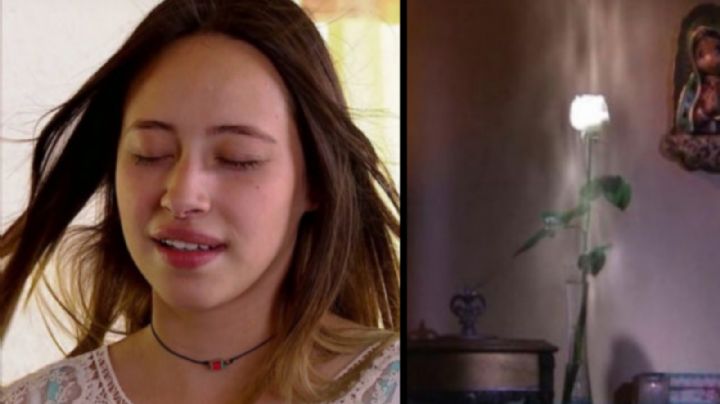 La Rosa de Guadalupe: fin al misterio; revelan cómo se hace el famoso aire | VIDEO