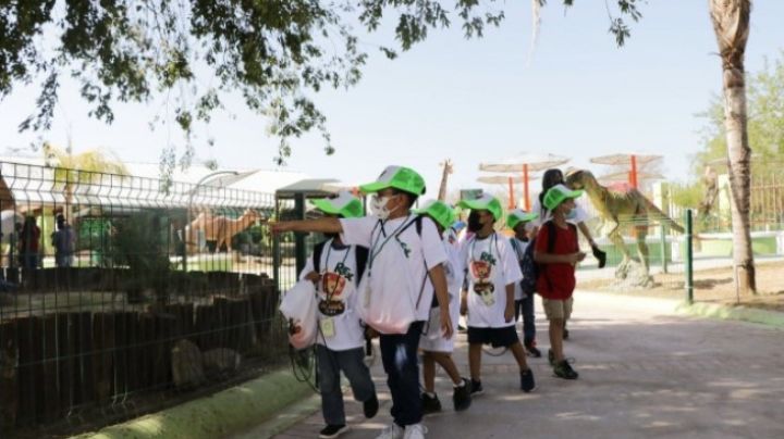 Darán pláticas a niños y jóvenes sobre cómo conservar la flora y fauna de la región