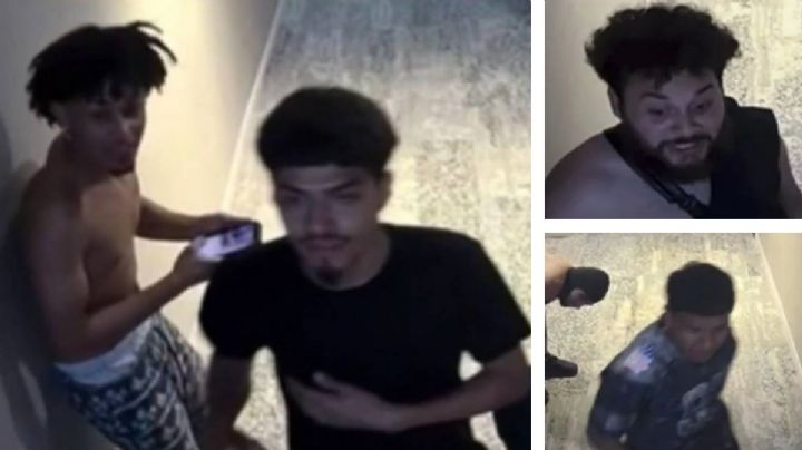 Isla del Padre: esto es lo que spring breakers están haciendo, autoridades ofrecen recompensa