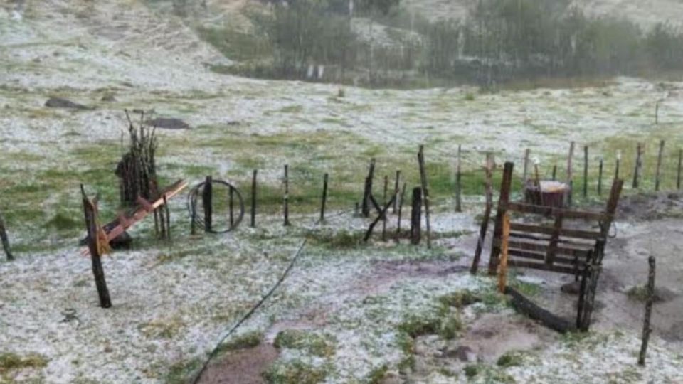 ¡Febrero loco y marzo otro poco! La tierra se cubrió de blanco por la tormenta invernal en el país