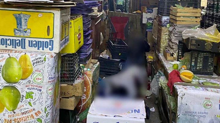 Central de Abastos en alerta por balacera: reportan tres muertos