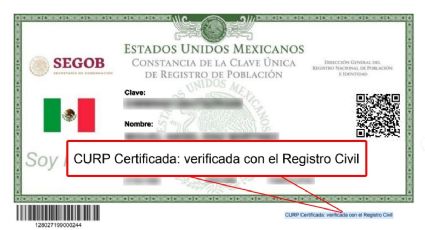 Cuáles son los requisitos para tramitar la CURP certificada