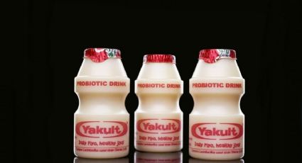 ¿Quién es el dueño de yakult?: bebida preferida de generaciones