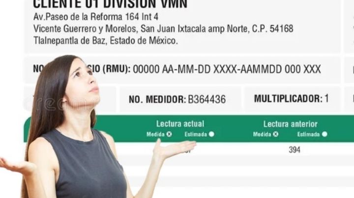 ¿No llegó el recibo de la luz?; así lo imprimes en internet paso a paso