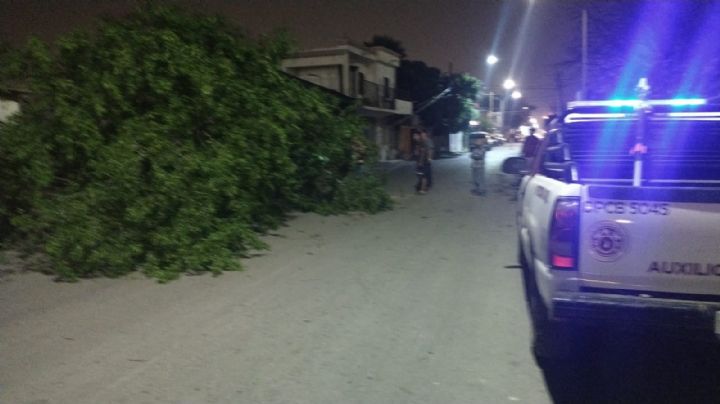 Nuevo Laredo: sigue estas recomendaciones ante fuertes vientos