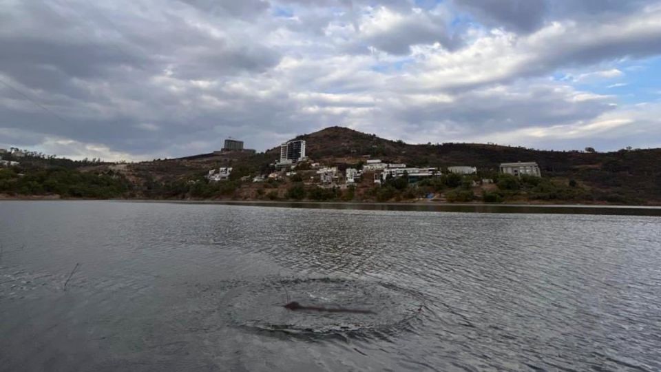 Habitantes de Atizapán de Zaragoza aseguran haber visto un dinosaurio en la Presa Madín