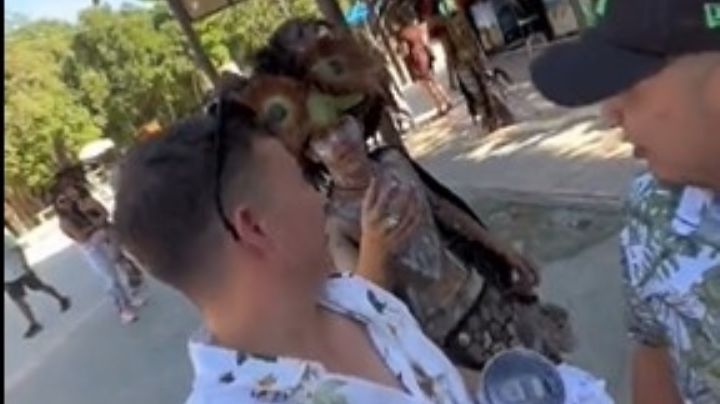 Turistas exhiben los exagerados costos de los prestadores de servicios en Tulum