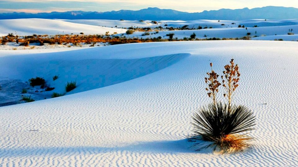 Dunas de Yeso en Coahuila