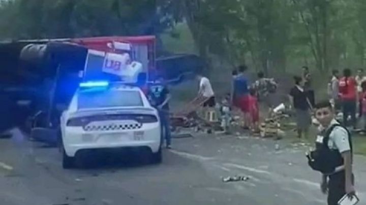 Vuelca camión con piñas en San Fernando, Tamaulipas; rapiña se hace presente | VIDEO