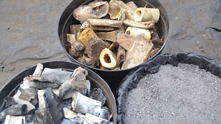 ¿Ricos postres hechos con hueso molido de res y cerdo? Alguna vez los has comido sin saberlo