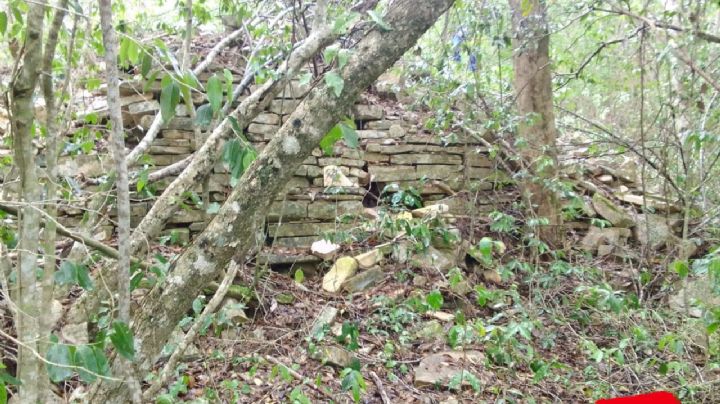 Descubren ruinas arqueológicas en un ejido de Tamaulipas | FOTOS