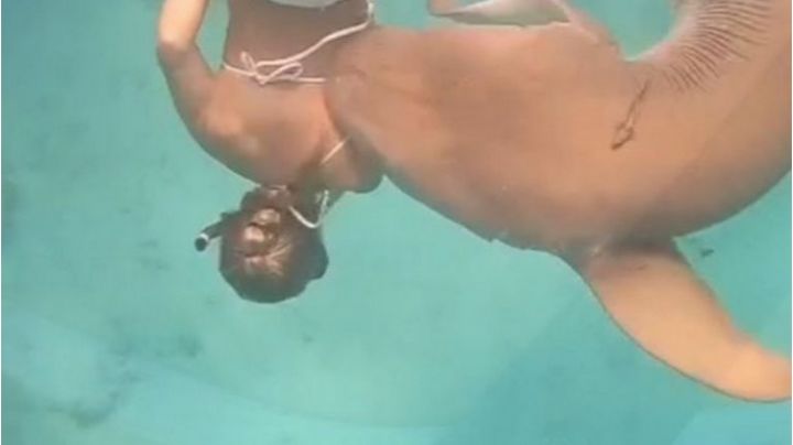 Tiburón ataca y muerde a mujer en la espalda mientras buceaba