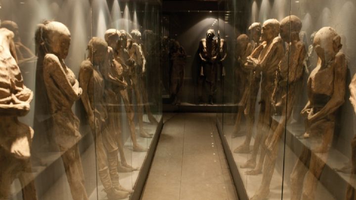 Momias de Guanajuato: hongo infeccioso en restos pondría en riesgo a los humanos