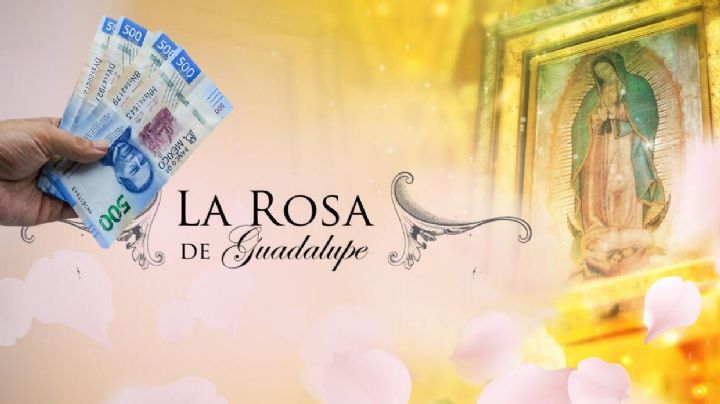 Esto gana un actor por trabajar en La Rosa de Guadalupe | VIDEO