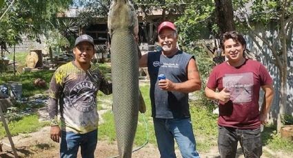 Capturan 'monstruo' en el Río Bravo, un catán de más de 2 metros