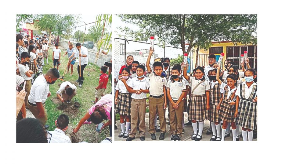 Niños reforestan su escuela en Nuevo Laredo.