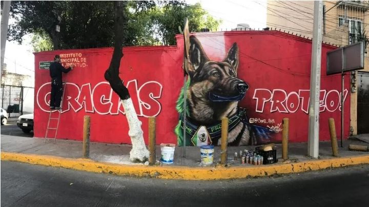 Turquía dona 'cachorro rescatista' a Sedena tras muerte de Proteo