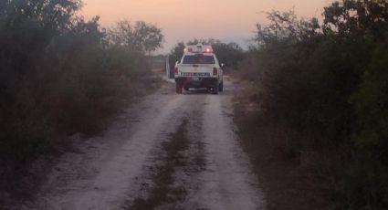 Hallan cabeza humana en una hielera; después encuentran otras partes de cuerpo humano