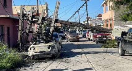 Tromba en Matamoros deja destrucción; caen árboles, postes y hasta bardas