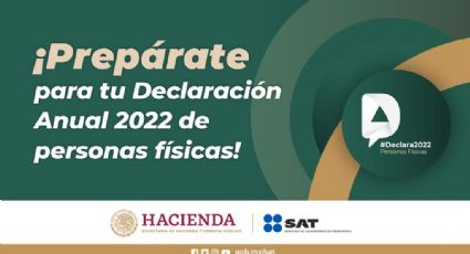 Declaración anual 2023: cuál es la multa por no presentar la declaración para personas físicas