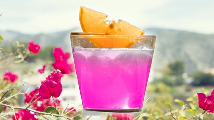 Agua de bugambilia: receta y cuáles son sus beneficios