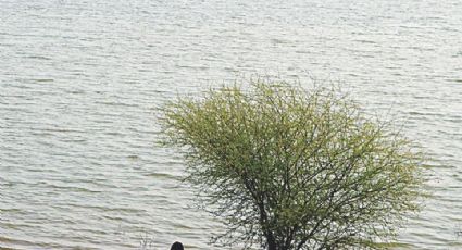 No permitirán filas ni pernoctar desde el sábado para visita a Lago Casa Blanca