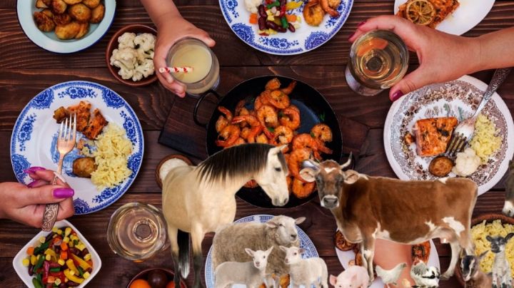 Conoce la lista de animales que no debes de comer, según la Biblia