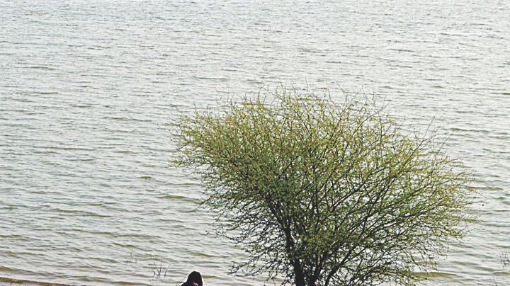 No permitirán filas ni pernoctar desde el sábado para visita a Lago Casa Blanca