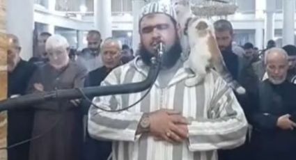 Se cuela gato a oración del Ramadán; momento se hace viral | VIDEO