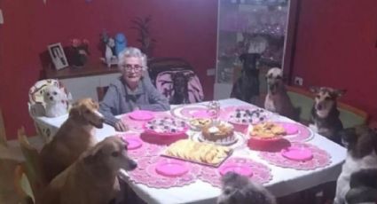 Abuelita festeja cumpleaños con sus nueve perros sentados a la mesa | VIDEO