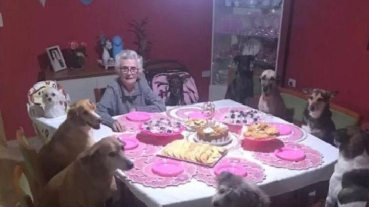 Abuelita festeja cumpleaños con sus nueve perros sentados a la mesa | VIDEO