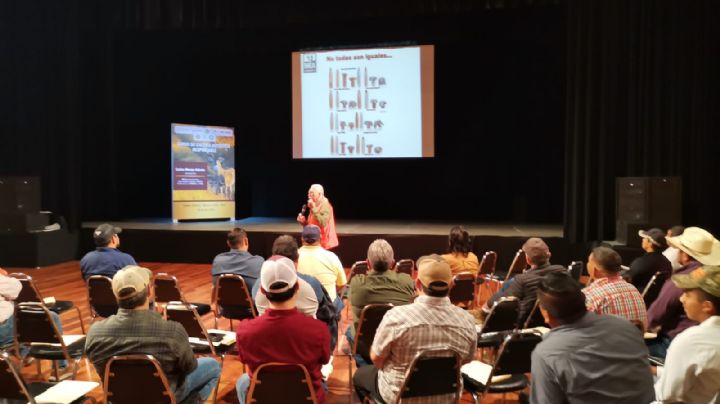 Ya hay ganadores del Torneo Los Gigantes de Venado Cola Blanca