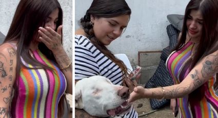 Karely Ruiz llora al conocer un perrito sin ojos; ‘facturará en tanga’ para ayudar a refugio | VIDEO