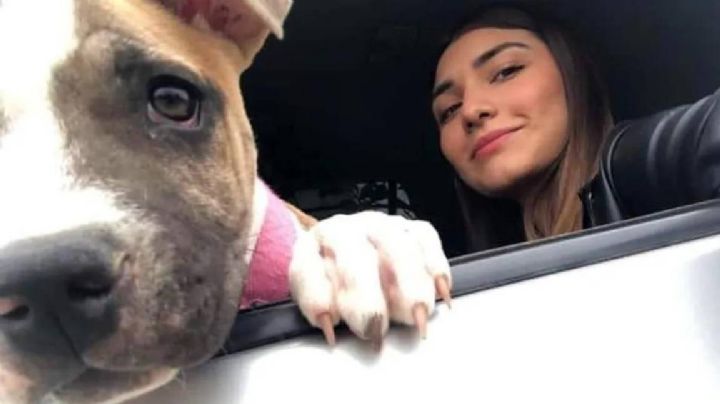 Tras muerte de joven tamaulipeca, su perrita fallece de tristeza días después