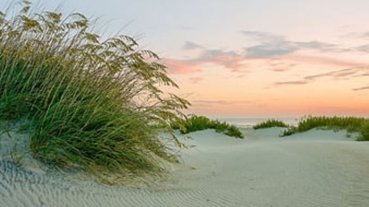Menor muere al ser tragado por un hoyo en la zona de dunas en Estados Unidos