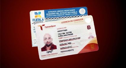 Tamaulipas: ¿se acepta licencia de conducir de otro estado, para renovar?