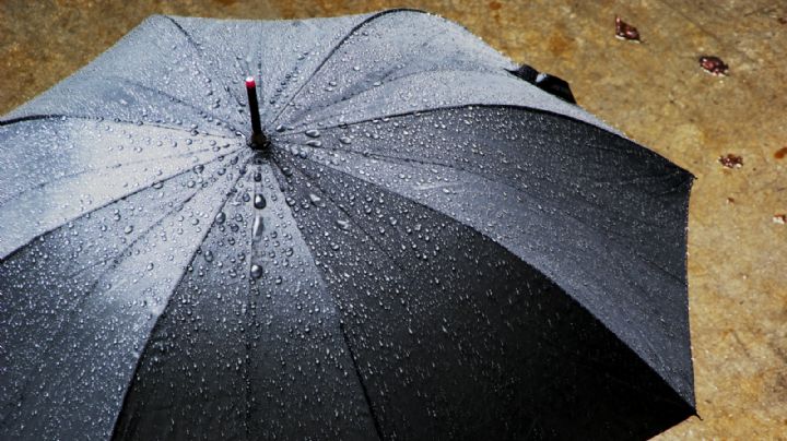 Clima Nuevo Laredo: ¿cuándo terminarán las lluvias?