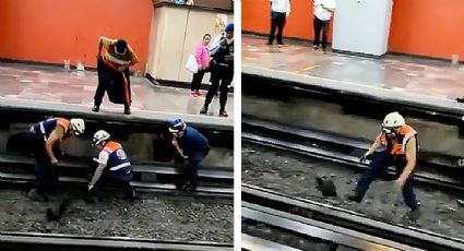 Gallina detiene el metro en CDMX; desquicia a empleados que no lograban atraparla | VIDEO