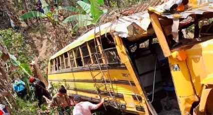 Se desbarranca autobús; pasajeros salvan la vida, pero abejas africanas matan a seis