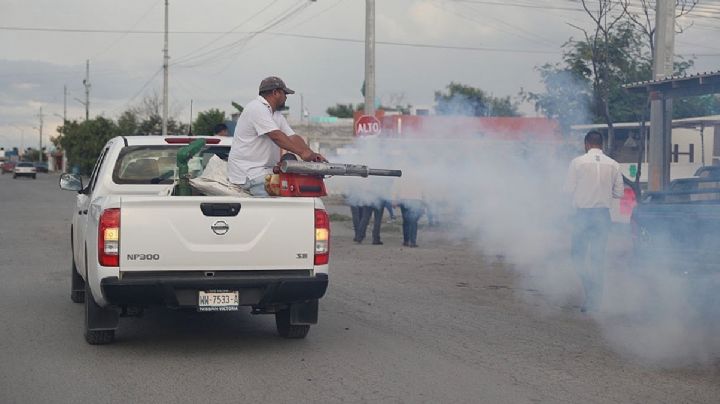 Con todo contra los mosquitos: van 30 colonias fumigadas