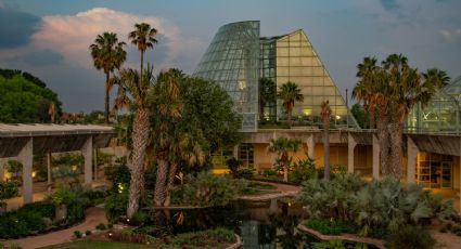 El jardín botánico más bello del sur de Texas, lo encuentras en San Antonio