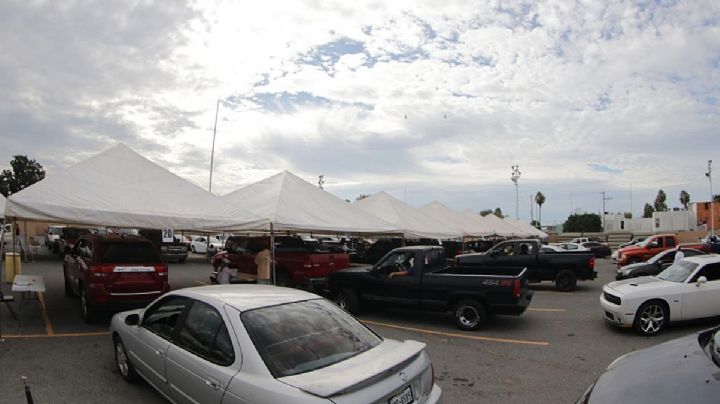 Autos chocolate que no sean legalizados serán multados y retirados de las calles