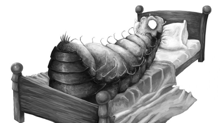 Despertó convertido en un insecto; su propia familia trató de asesinarlo